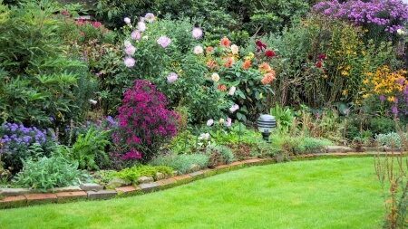 entretien de jardin