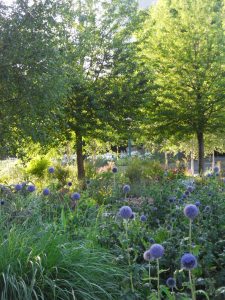credit impôt entretien jardin