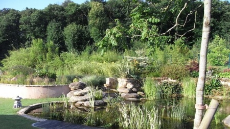 PROJARDINS, des professionnels pour l’entretien de jardin en Essonne